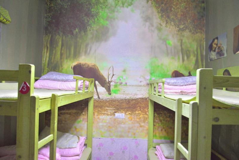 Wushe International Youth Hostel เจียซิง ภายนอก รูปภาพ